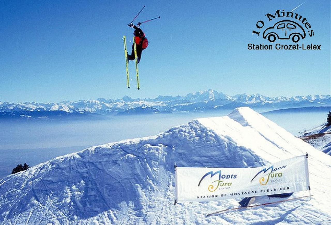 Location Chambres Le Panorama - Aeroport Geneve - Pays De Gex Chevry  外观 照片